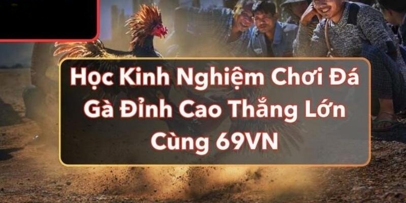 Trang bị chiến lược chơi cá cược đá gà 69VN hiệu quả